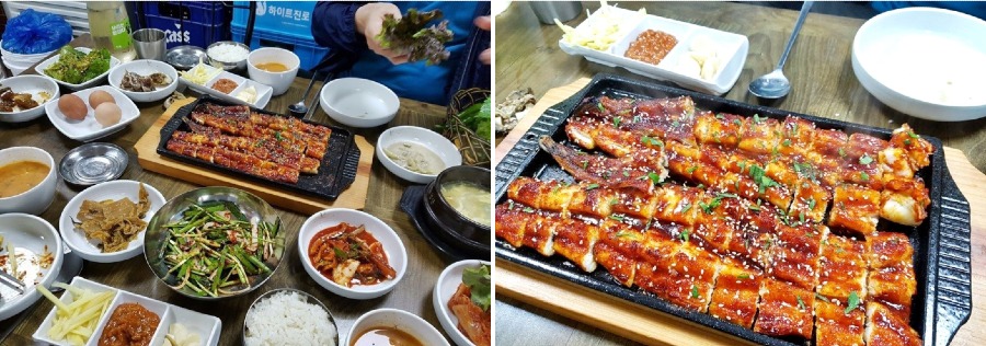 5바디.jpg